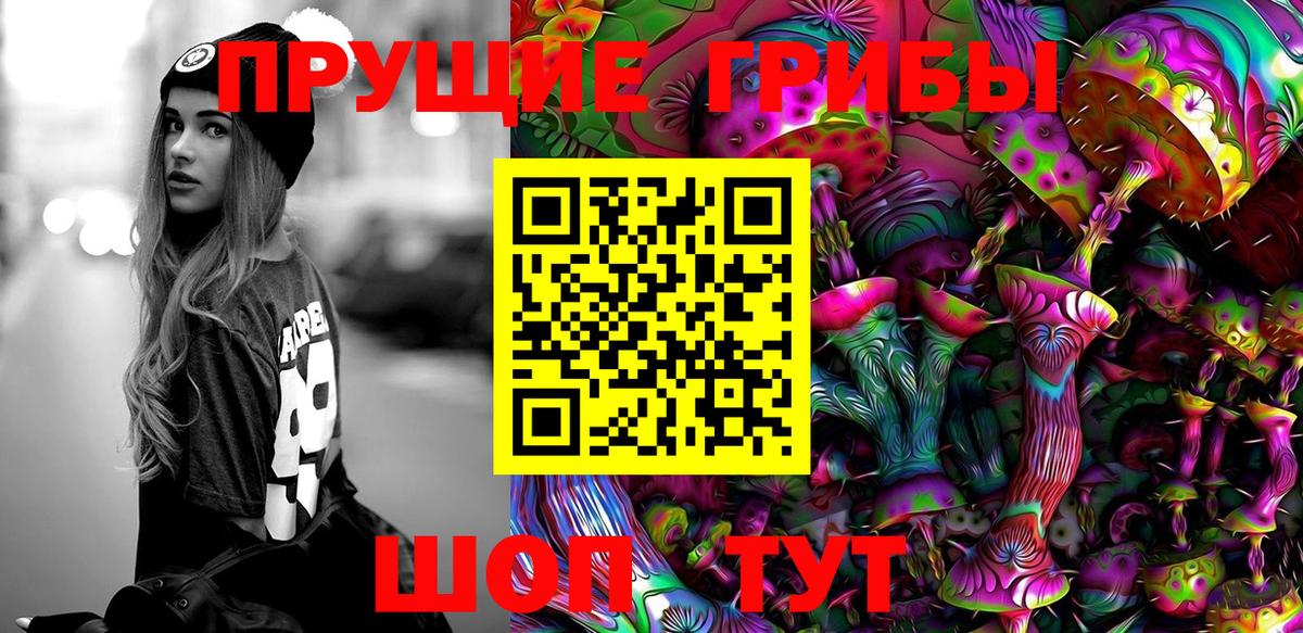 Псилоцибиновые грибы мицелий Орёл