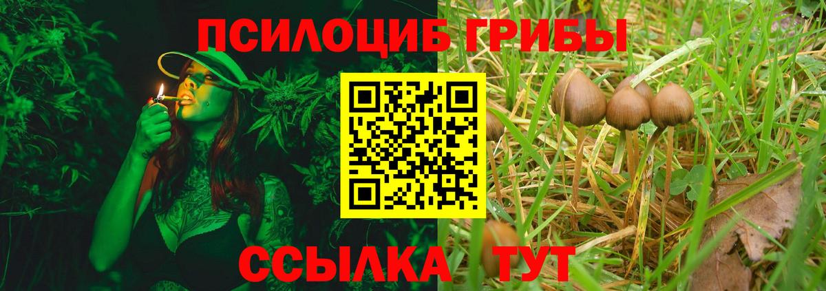 Псилоцибиновые грибы прущие грибы  Вход с VPN  Орёл 